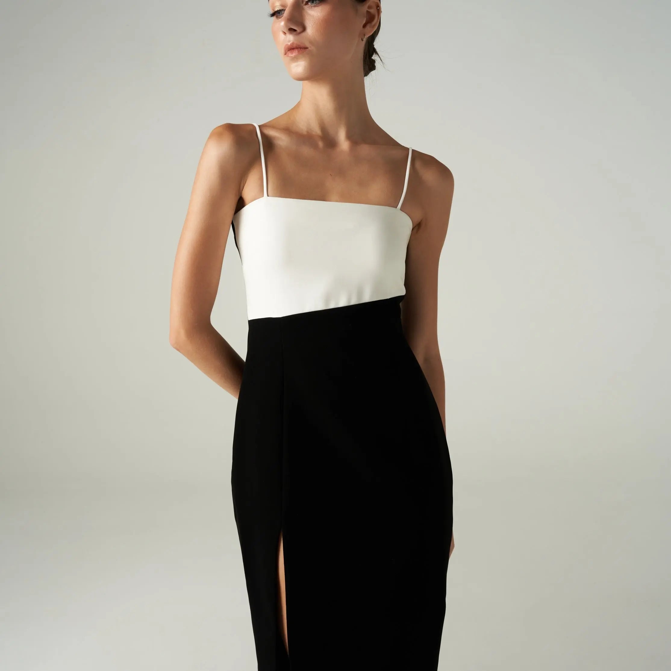 Olesya Dress